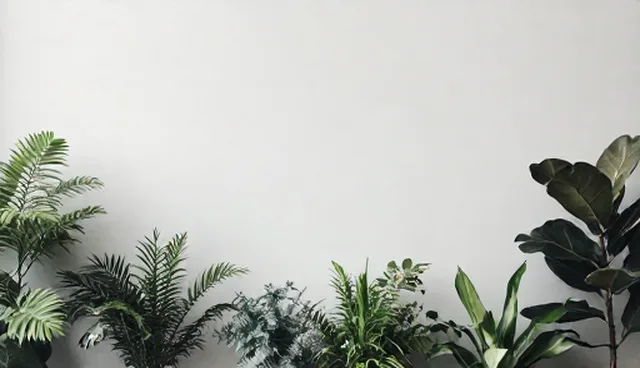 商务考察套餐如何满足不同场景需求